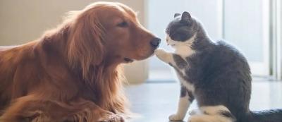 MIYABI (40) 信州 萬天堂 / 出張性感マッサージ