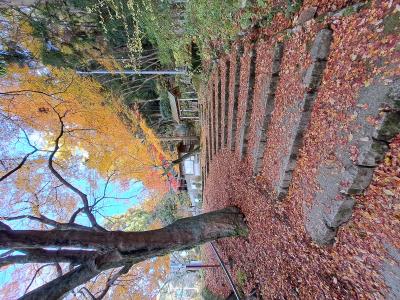 カズマル (52) 浜松 萬天堂 / 出張性感マッサージ