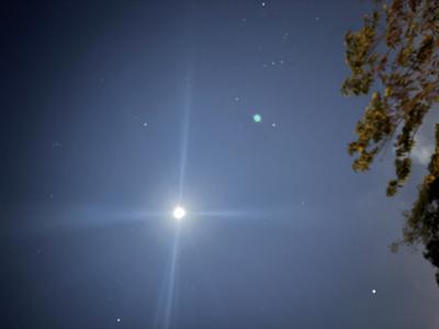 真陽 (35) 岡山 萬天堂 / 出張性感マッサージ