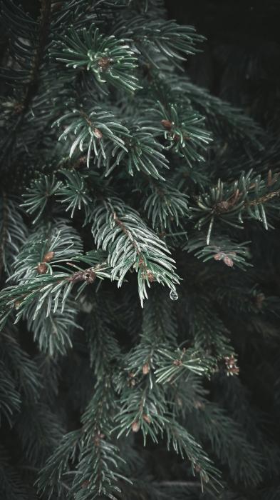 和正 (49) 名古屋 萬天堂 / 出張性感マッサージ