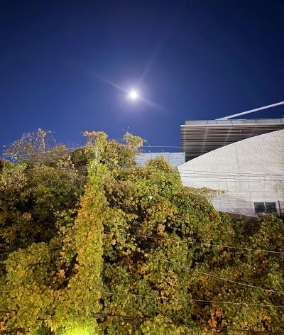 風羽 (34) 京都 萬天堂 / 出張性感マッサージ