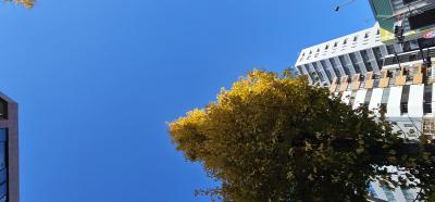 涼介 (30) 横浜 萬天堂 / 出張性感マッサージ