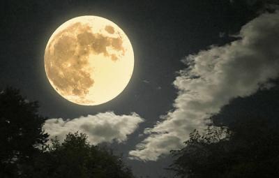 玲哉 (42) 名古屋 萬天堂 / 出張性感マッサージ