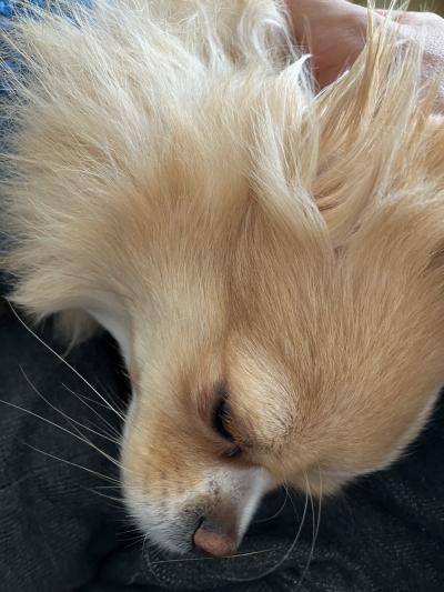 とも (32) 京都 萬天堂 / 出張性感マッサージ