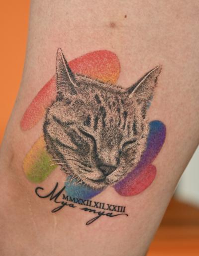 風羽 (34) 京都 萬天堂 / 出張性感マッサージ