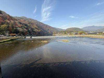 サトシ (44) 大宮 萬天堂 / 出張性感マッサージ