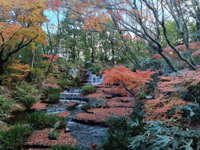 浅葱 (51) 岐阜 萬天堂 / 出張性感マッサージ