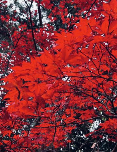 三日月 (32) 大阪 萬天堂 / 出張性感マッサージ