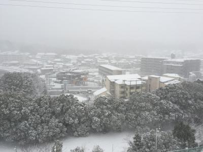 友 (29) 京都 萬天堂 / 出張性感マッサージ