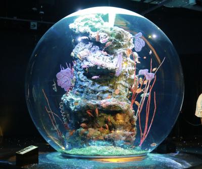 紬 (29) 岡山 萬天堂 / 出張性感マッサージ