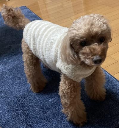 直澄 (48) 東京 萬天堂 / 出張性感マッサージ