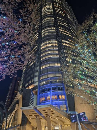 シルク (41) 東京 萬天堂 / 出張性感マッサージ