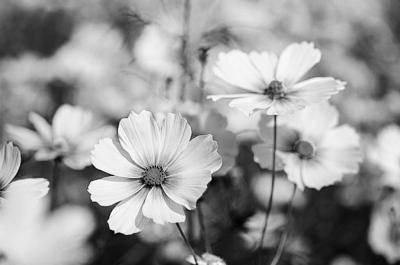 凪葵 (35) 長崎 萬天堂 / 出張性感マッサージ