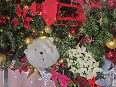 🎄 れんと (29) 大阪府（出張性感マッサージ