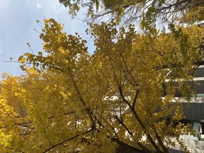 つかさ (31) 京都 萬天堂 / 出張性感マッサージ