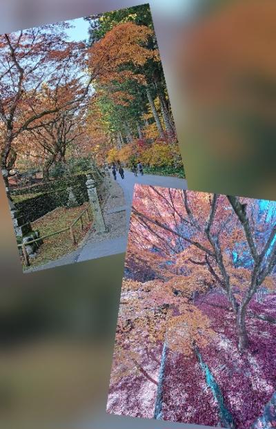 カズマル (52) 浜松 萬天堂 / 出張性感マッサージ