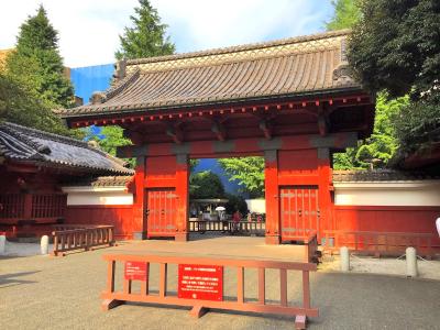 伊月 (44) 新潟 萬天堂 / 出張性感マッサージ