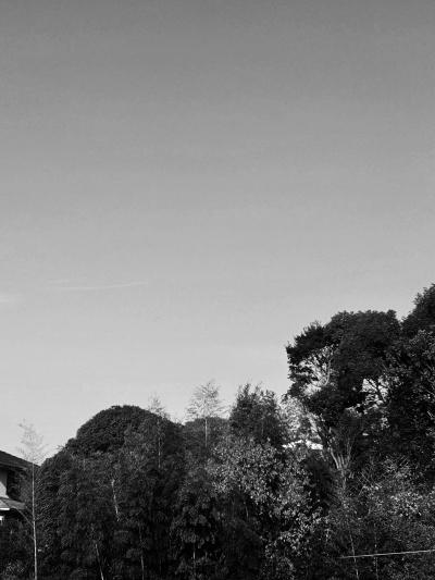 凪葵 (35) 長崎 萬天堂 / 出張性感マッサージ