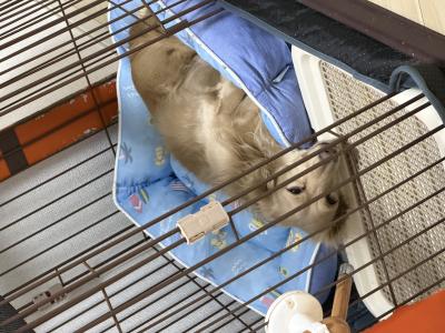 風羽 (34) 京都 萬天堂 / 出張性感マッサージ