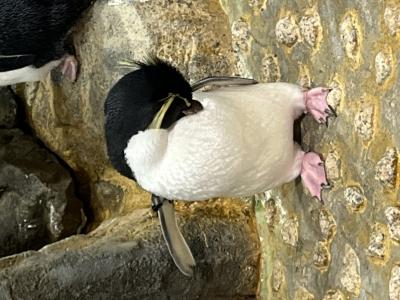 宗近 (46) 広島 萬天堂 / 出張性感マッサージ