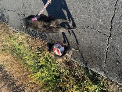 ふう (27) 浜松 萬天堂 / 出張性感マッサージ