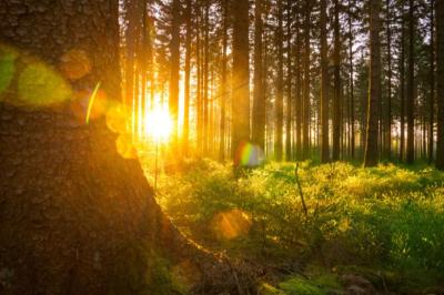 龍生 (47) 大宮 萬天堂 / 出張性感マッサージ