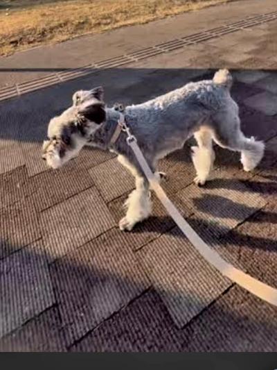 立也 (59) 立川 萬天堂 / 出張性感マッサージ