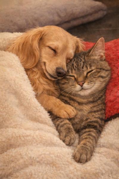 風羽 (34) 京都 萬天堂 / 出張性感マッサージ