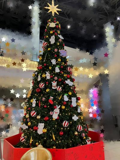 伊月 (44) 新潟 萬天堂 / 出張性感マッサージ