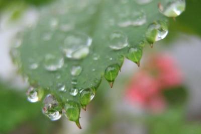 龍生 (47) 大宮 萬天堂 / 出張性感マッサージ