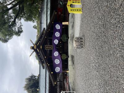 サトシ (44) 大宮 萬天堂 / 出張性感マッサージ