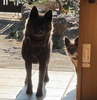 ふう (27) 浜松 萬天堂 / 出張性感マッサージ
