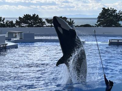 ヨシキ (28) 神戸 萬天堂 / 出張性感マッサージ