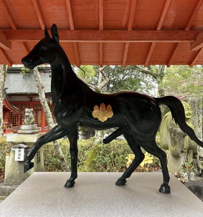 2026午年🐴 ソウ (35) 広島県（出張性感マッサージ