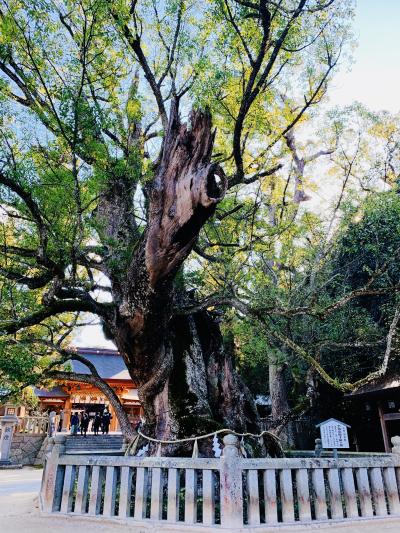 怜央 (29) 松山 萬天堂 / 出張性感マッサージ