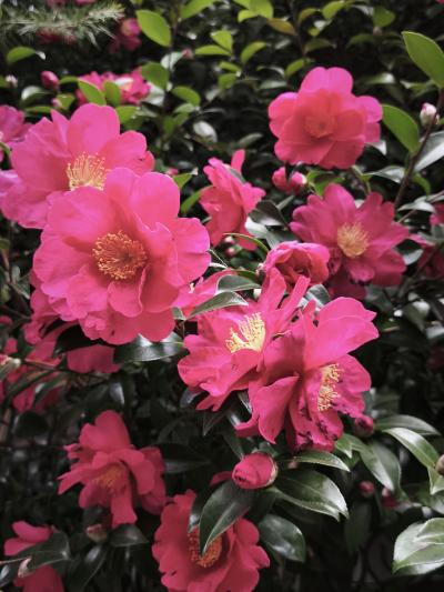 みちる (43) 大阪 萬天堂 / 出張性感マッサージ