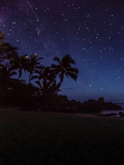 椎名 (52) 東京 萬天堂 / 出張性感マッサージ