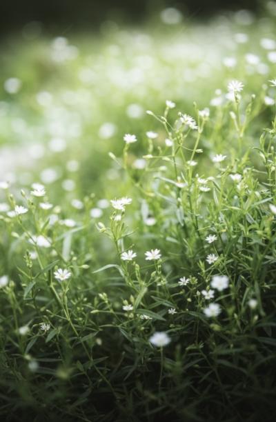 しょうご (40) 広島 萬天堂 / 出張性感マッサージ