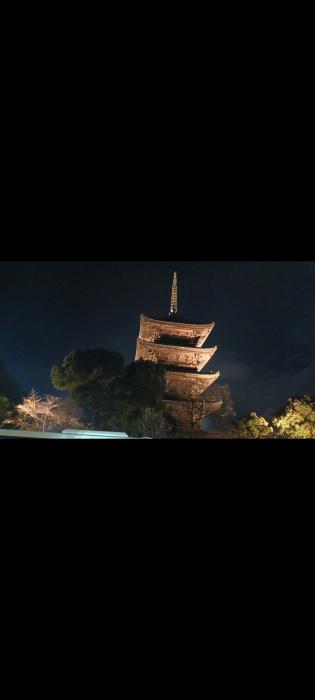 楽 (57) 京都 萬天堂 / 出張性感マッサージ