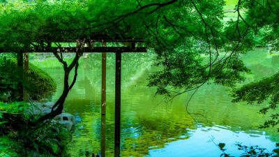 恭介 (49) 京都 萬天堂 / 出張性感マッサージ