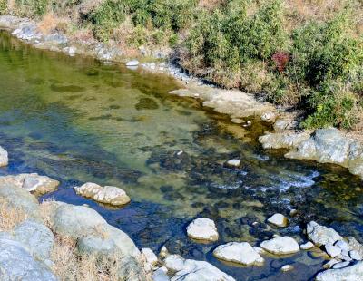 えがお (47) 京都 萬天堂 / 出張性感マッサージ