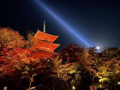 マス (35) 京都 萬天堂 / 出張性感マッサージ