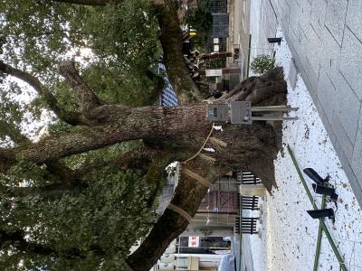 つかさ (31) 京都 萬天堂 / 出張性感マッサージ