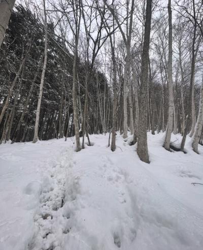 麻琴 (29) 大阪 萬天堂 / 出張性感マッサージ