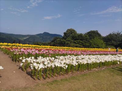 空 (28) 大阪 萬天堂 / 出張性感マッサージ