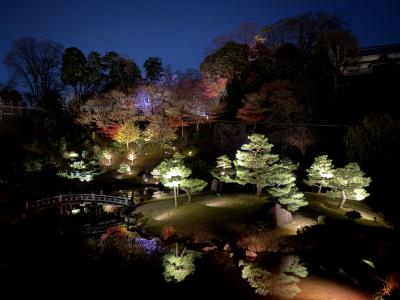 わたる (25) 新潟 萬天堂 / 出張性感マッサージ