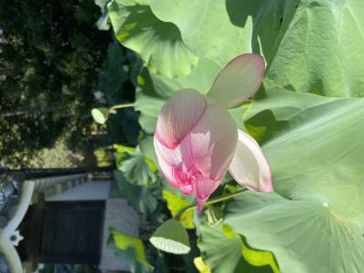 たいよう (34) 岡山 萬天堂 / 出張性感マッサージ