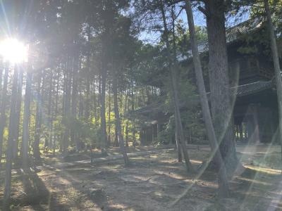 たいよう (34) 岡山 萬天堂 / 出張性感マッサージ