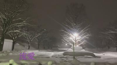 雪が舞う朝に、そっと✨ 流愛 (44) 新潟県（出張性感マッサージ