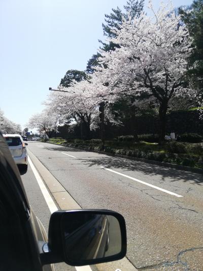 七翔 (37) 富山 萬天堂 / 出張性感マッサージ